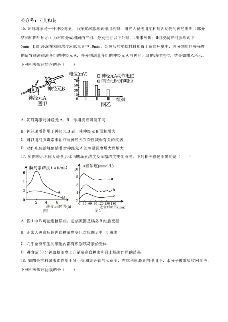 河北省沧州市八县联考2024-2025学年高二上学期10月期中考试生物Word版含答案_2024-2025高二（7-7月题库）_2024年11月试卷_1104河北省沧州市八县联考2024-2025学年高二上学期10月期中考试