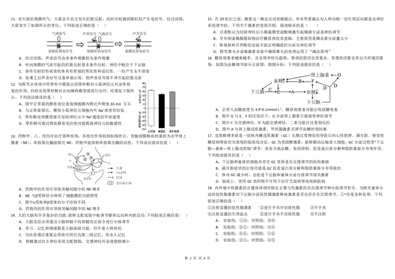 四川省成都市树德中学2024-2025学年高二上学期期中生物试题PDF版含答案_2024-2025高二（7-7月题库）_2024年11月试卷_1108四川省成都市树德中学2024-2025学年高二上学期期中考