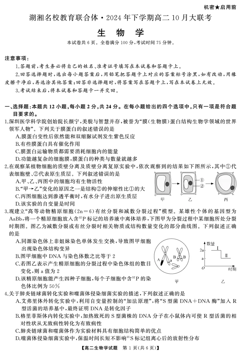湖南省湖湘名校教育联合体2026届高二上学期10月月考生物试题+答案_2024-2025高二（7-7月题库）_2024年10月试卷_1027湖南省湖湘名校教育联合体2026届高二上学期10月月考