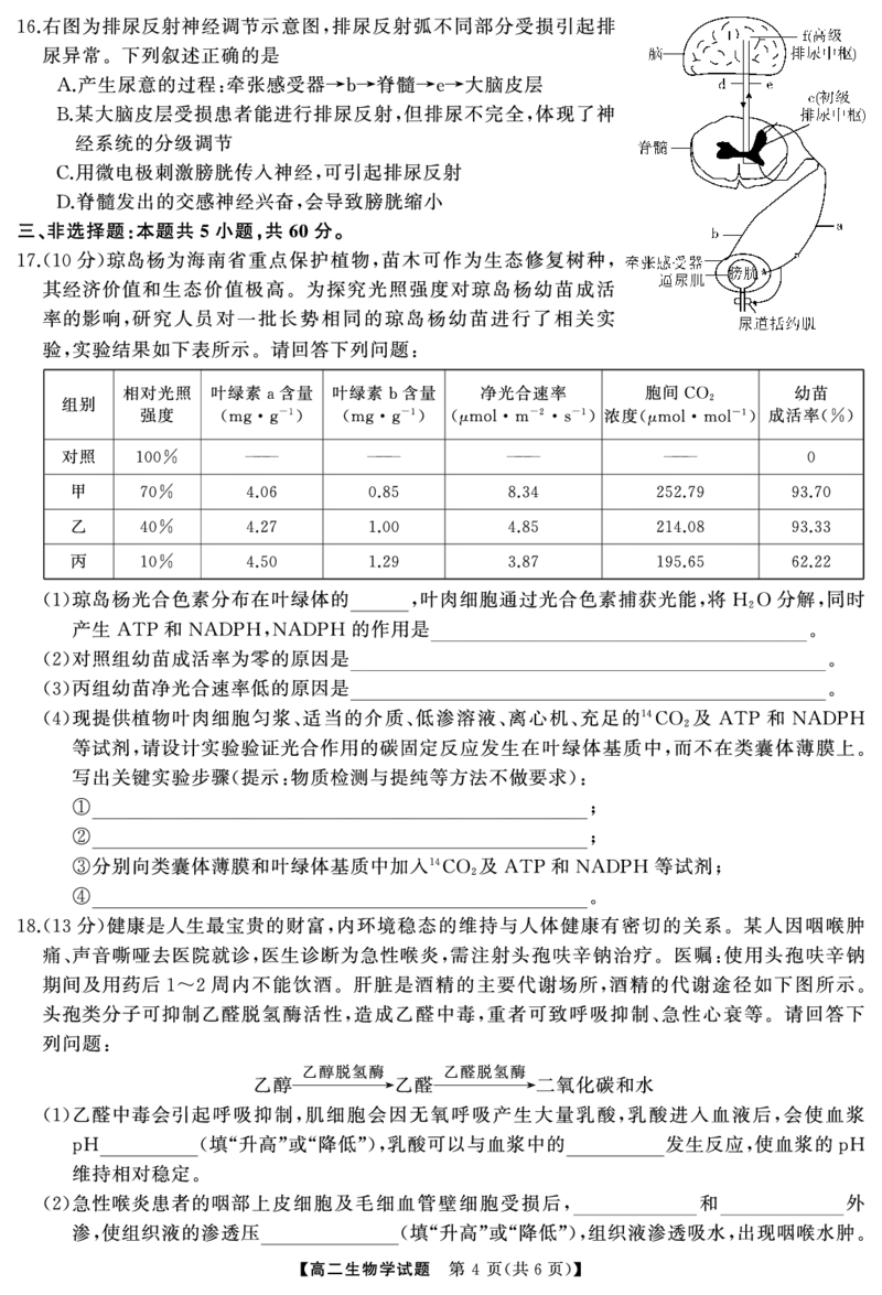 湖南省湖湘名校教育联合体2026届高二上学期10月月考生物试题+答案_2024-2025高二（7-7月题库）_2024年10月试卷_1027湖南省湖湘名校教育联合体2026届高二上学期10月月考