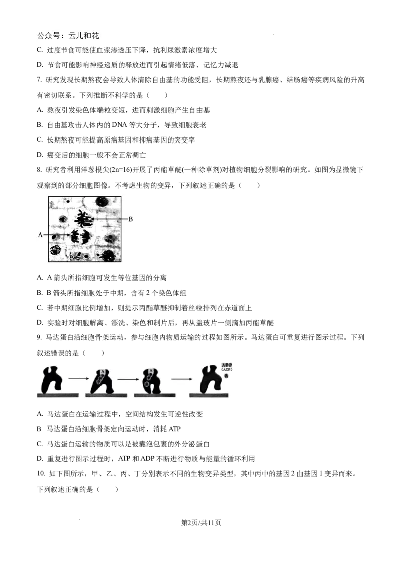 浙江省杭州市周边重点中学四校联考2024-2025学年高二上学期10月月考生物试题（卷）_2024-2025高二（7-7月题库）_2024年10月试卷