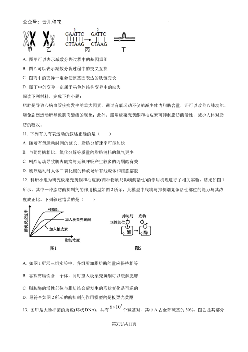 浙江省杭州市周边重点中学四校联考2024-2025学年高二上学期10月月考生物试题（卷）_2024-2025高二（7-7月题库）_2024年10月试卷