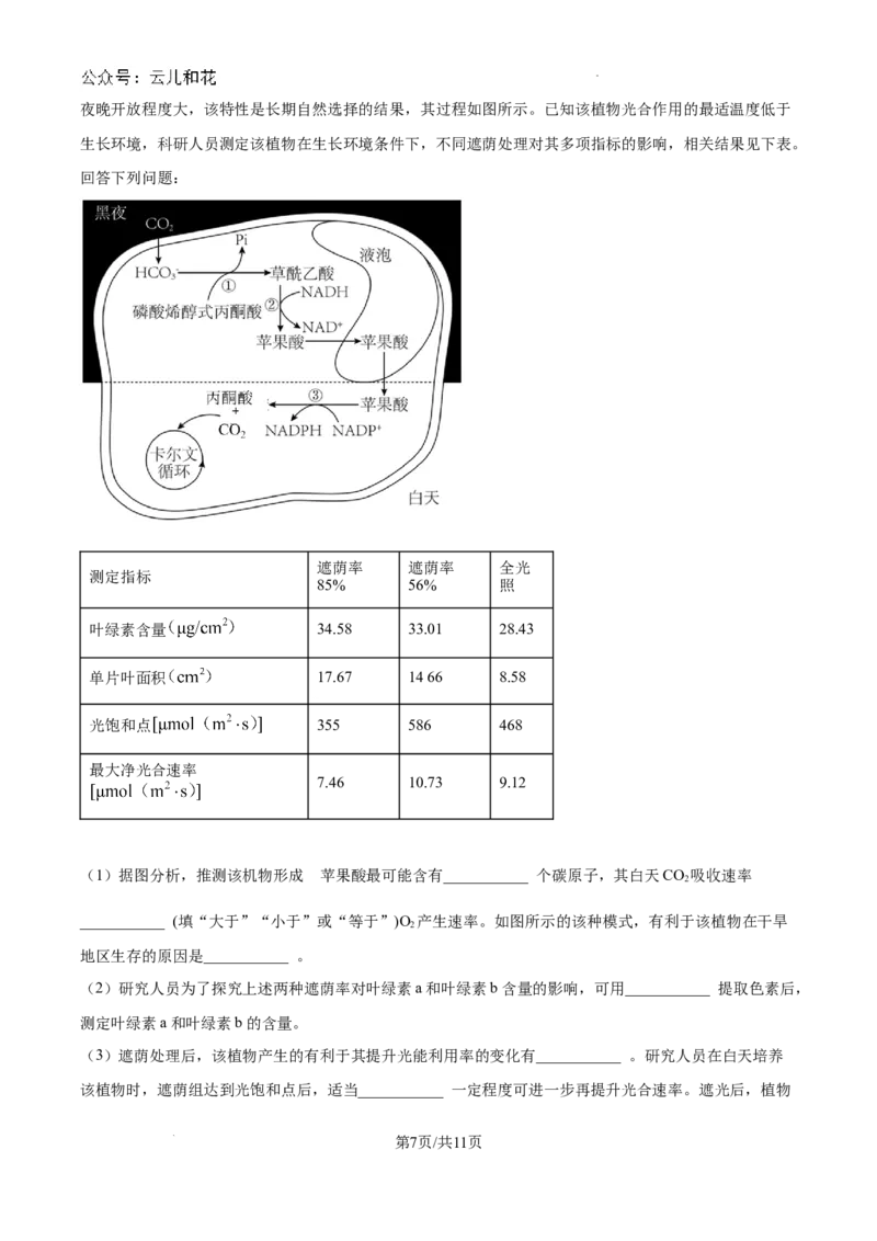 浙江省杭州市周边重点中学四校联考2024-2025学年高二上学期10月月考生物试题（卷）_2024-2025高二（7-7月题库）_2024年10月试卷