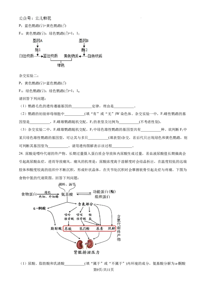 浙江省杭州市周边重点中学四校联考2024-2025学年高二上学期10月月考生物试题（卷）_2024-2025高二（7-7月题库）_2024年10月试卷