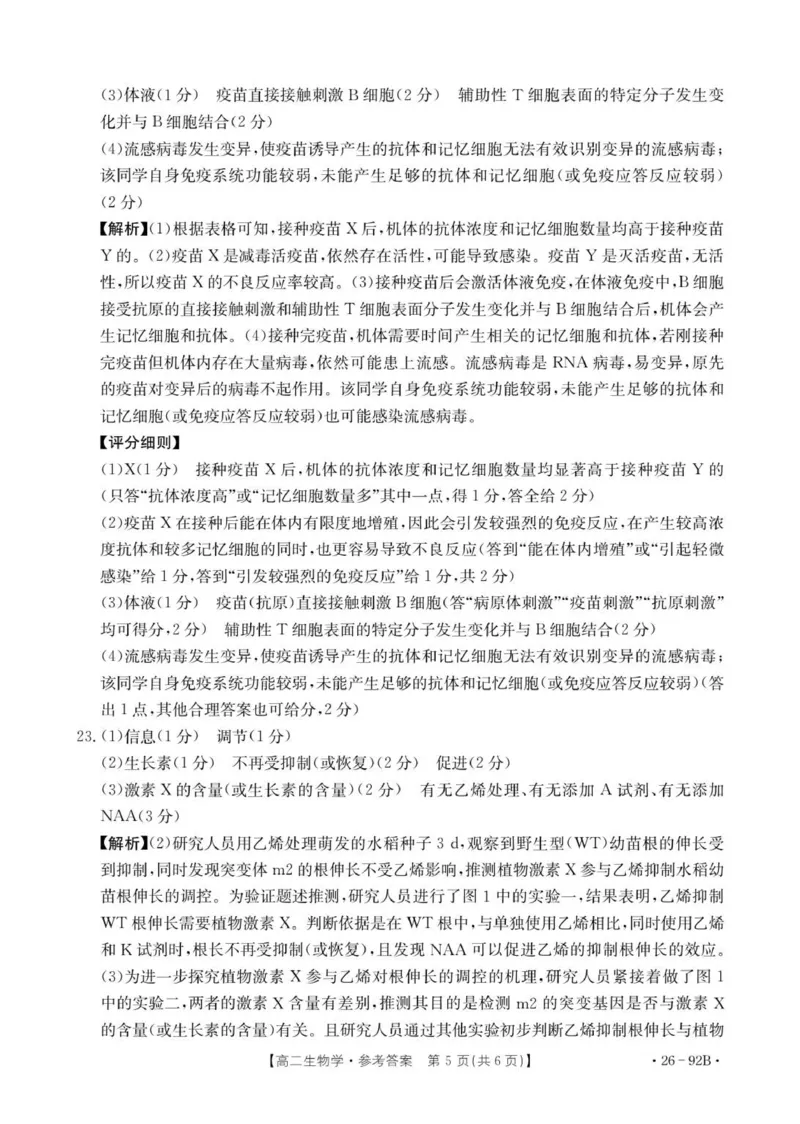 92B生物学参考答案_251205河北省邢台市质检联盟2025-2026学年高二上学期11月期中_河北省邢台市质检联盟2025-2026学年高二上学期11月期中生物试题（PDF版，含解析）