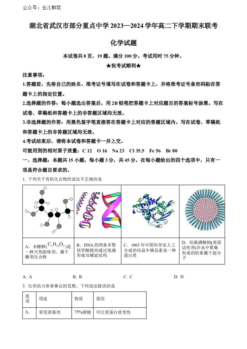 湖北省武汉市部分重点中学2023-2024学年高二下学期期末联考化学试卷Word版无答案_2024-2025高二（7-7月题库）_2024年07月试卷