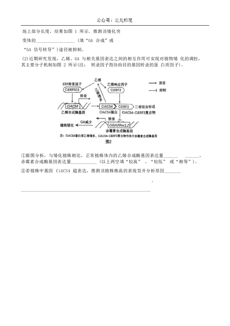 湖北省襄阳市宜城市一中、南漳一中、老河口一中三校2024-2025学年高二上学期12月月考试题生物Word版含答案_2024-2025高二（7-7月题库）_2025年01月试卷