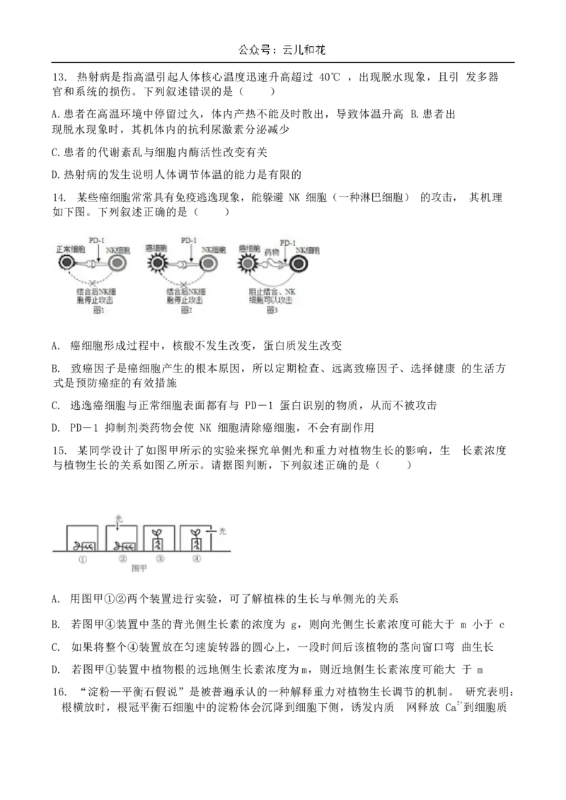 湖北省襄阳市宜城市一中、南漳一中、老河口一中三校2024-2025学年高二上学期12月月考试题生物Word版含答案_2024-2025高二（7-7月题库）_2025年01月试卷