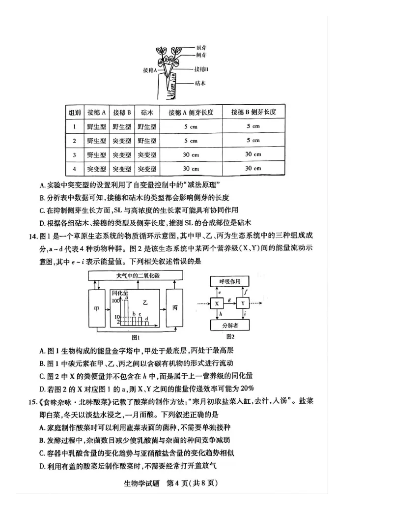 湖南省示范性高中2024-2025学年高二下学期2月联考生物试卷（PDF版，含答案)_2024-2025高二（7-7月题库）_2025年03月试卷_0313湖南省示范性高中2024-2025学年高二下学期2月联考