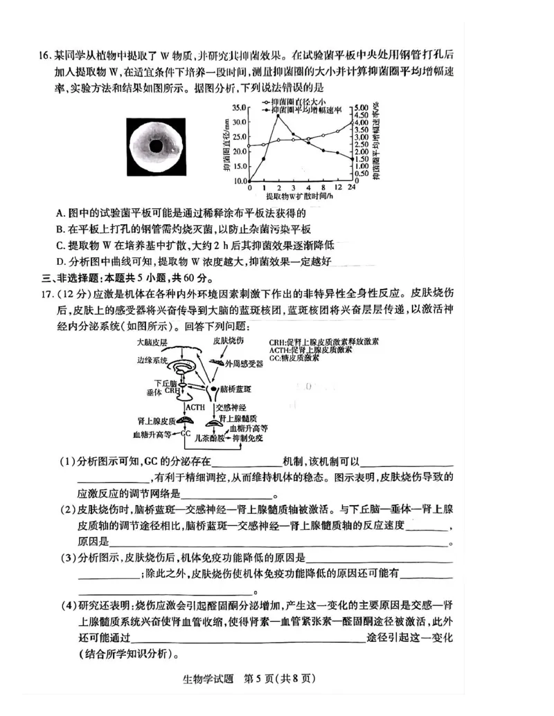 湖南省示范性高中2024-2025学年高二下学期2月联考生物试卷（PDF版，含答案)_2024-2025高二（7-7月题库）_2025年03月试卷_0313湖南省示范性高中2024-2025学年高二下学期2月联考