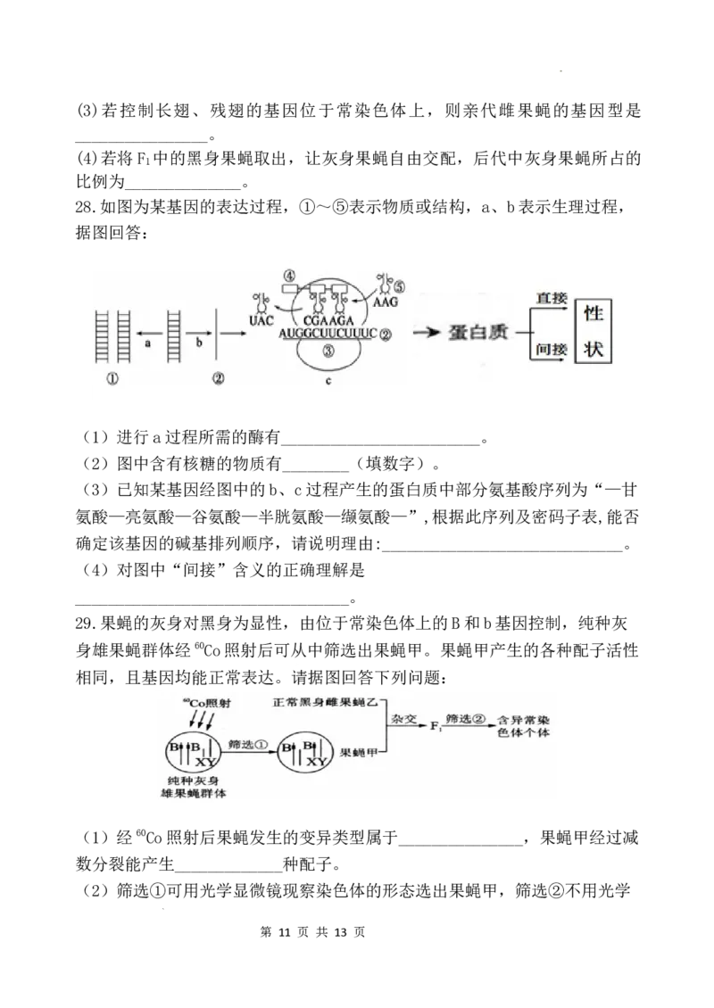 重庆市渝北中学2023-2024学年高三上学期11月月考质量监测生物试题_2023年11月_01每日更新_29号_2024届重庆市渝北中学校高三上学期11月月考_重庆市渝北中学校2024届高三上学期11月月考生物