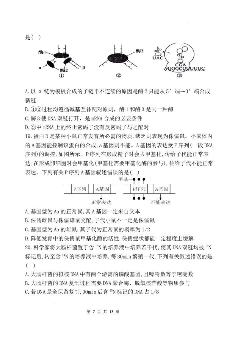 重庆市渝北中学2023-2024学年高三上学期11月月考质量监测生物试题_2023年11月_01每日更新_29号_2024届重庆市渝北中学校高三上学期11月月考_重庆市渝北中学校2024届高三上学期11月月考生物