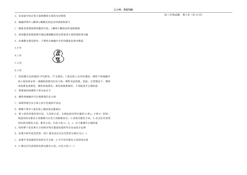 山东省泰安市肥城市2024-2025学年高三上学期开学考试生物Word版含答案_2024-2025高三（6-6月题库）_2024年09月试卷_0907山东省泰安市肥城市2024-2025学年高三上学期开学考试