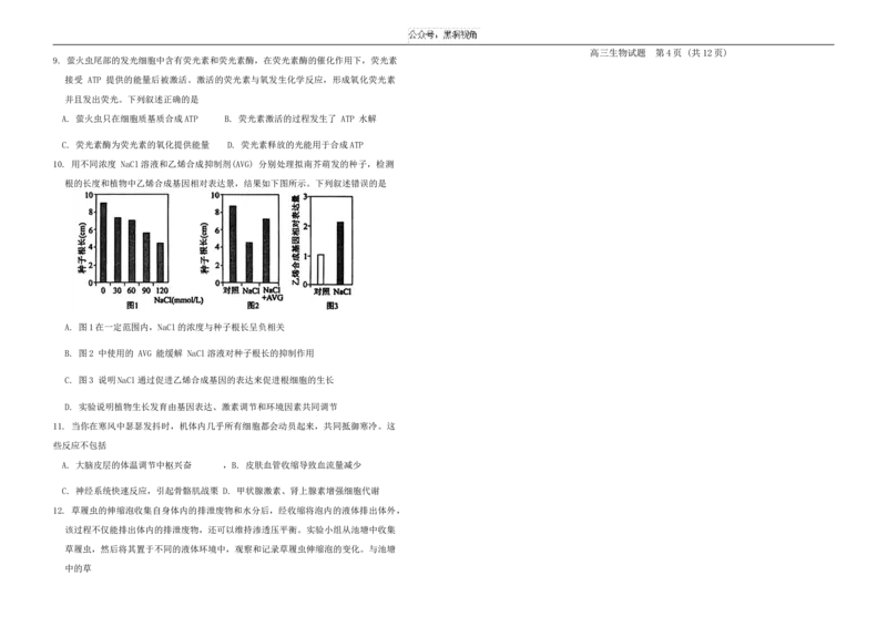 山东省泰安市肥城市2024-2025学年高三上学期开学考试生物Word版含答案_2024-2025高三（6-6月题库）_2024年09月试卷_0907山东省泰安市肥城市2024-2025学年高三上学期开学考试