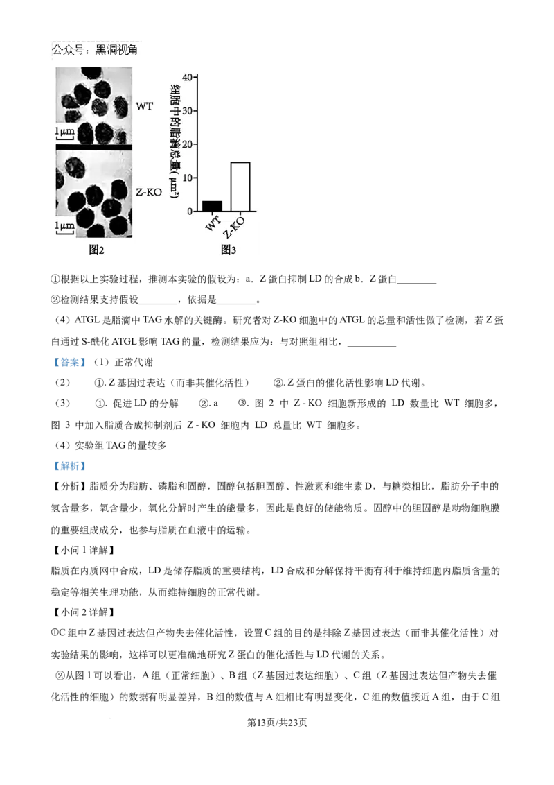 北京市通州区2025届高三上学期11月期中质量检测生物答案_2024-2025高三（6-6月题库）_2024年12月试卷_1218北京市通州区2025届高三上学期11月期中质量检测试卷