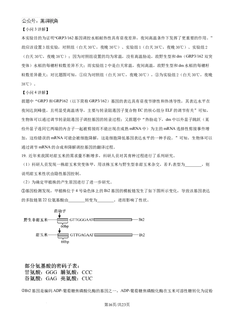 北京市通州区2025届高三上学期11月期中质量检测生物答案_2024-2025高三（6-6月题库）_2024年12月试卷_1218北京市通州区2025届高三上学期11月期中质量检测试卷