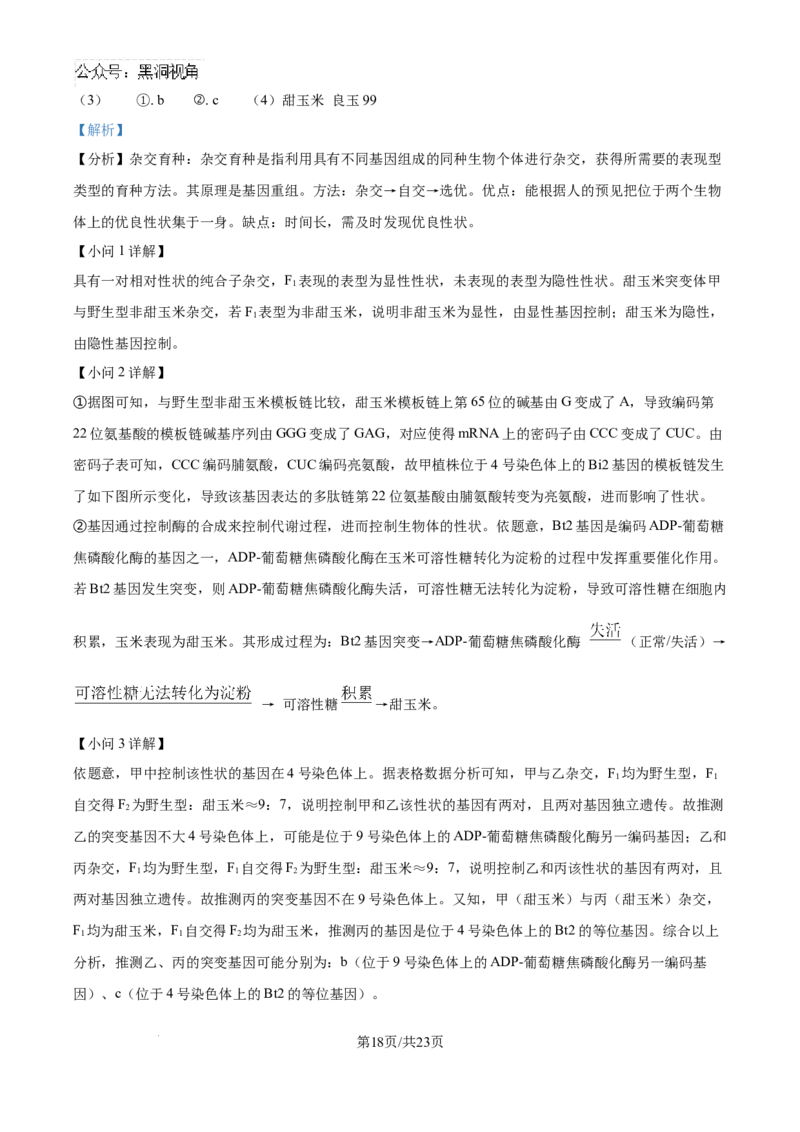 北京市通州区2025届高三上学期11月期中质量检测生物答案_2024-2025高三（6-6月题库）_2024年12月试卷_1218北京市通州区2025届高三上学期11月期中质量检测试卷