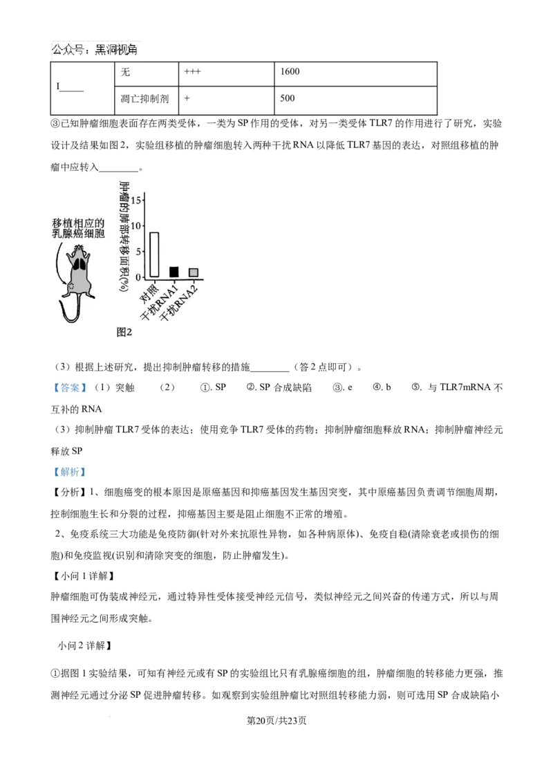 北京市通州区2025届高三上学期11月期中质量检测生物答案_2024-2025高三（6-6月题库）_2024年12月试卷_1218北京市通州区2025届高三上学期11月期中质量检测试卷