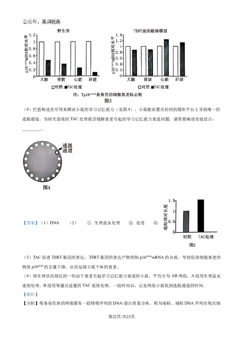 北京市通州区2025届高三上学期11月期中质量检测生物答案_2024-2025高三（6-6月题库）_2024年12月试卷_1218北京市通州区2025届高三上学期11月期中质量检测试卷