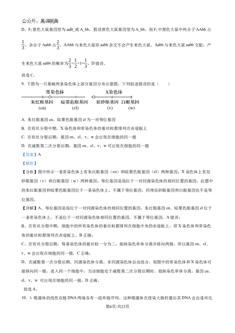 北京市通州区2025届高三上学期11月期中质量检测生物答案_2024-2025高三（6-6月题库）_2024年12月试卷_1218北京市通州区2025届高三上学期11月期中质量检测试卷