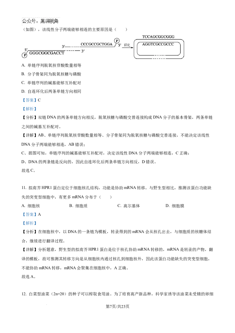 北京市通州区2025届高三上学期11月期中质量检测生物答案_2024-2025高三（6-6月题库）_2024年12月试卷_1218北京市通州区2025届高三上学期11月期中质量检测试卷