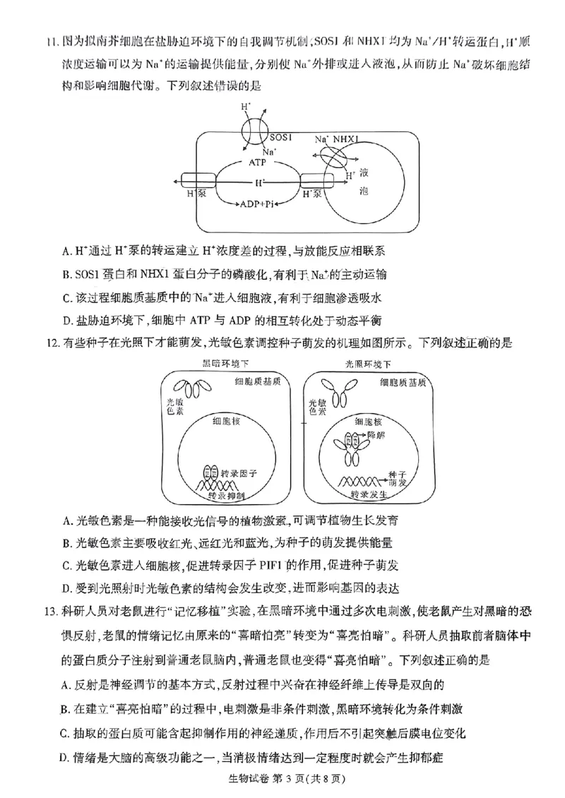 莆田市2024届高中毕业班第二次教学质量检测二模生物试卷_2024年3月_013月合集_2024届福建省莆田市高三下学期二模_2024届福建省莆田市高三下学期二模生物