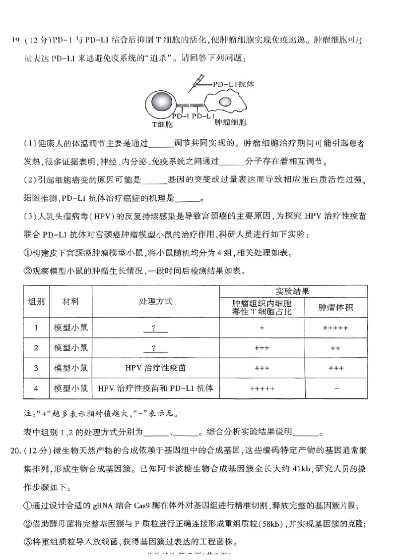 莆田市2024届高中毕业班第二次教学质量检测二模生物试卷_2024年3月_013月合集_2024届福建省莆田市高三下学期二模_2024届福建省莆田市高三下学期二模生物