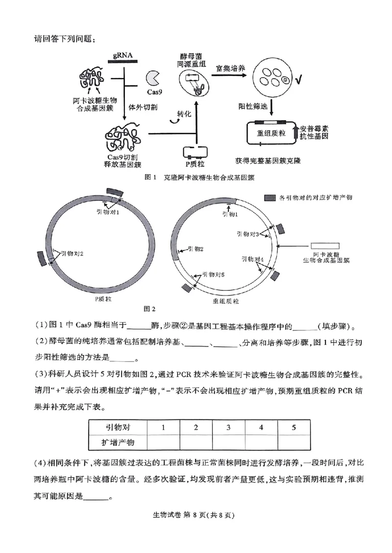 莆田市2024届高中毕业班第二次教学质量检测二模生物试卷_2024年3月_013月合集_2024届福建省莆田市高三下学期二模_2024届福建省莆田市高三下学期二模生物