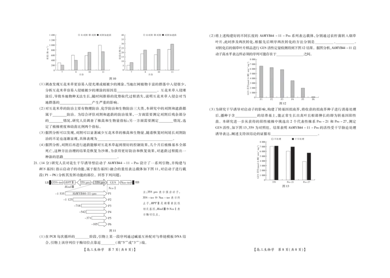 广东省湛江市2024-2025学年高三上学期高中毕业生调研考试生物试题_2024-2025高三（6-6月题库）_2024年11月试卷_11022025届广东省湛江市普通高中高三10月调研测试（上进联考）