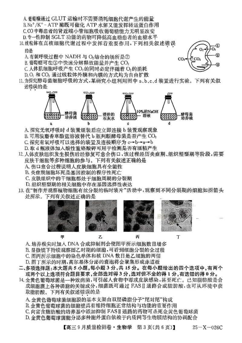 三晋卓越联盟&middot;山西省2024-2025学年度高三9月质量检测卷(25-X-26C)生物试题_2024-2025高三（6-6月题库）_2024年09月试卷_0928三晋卓越联盟&middot;山西省2024-2025学年度高三9月质量检测卷(25-X-26C)