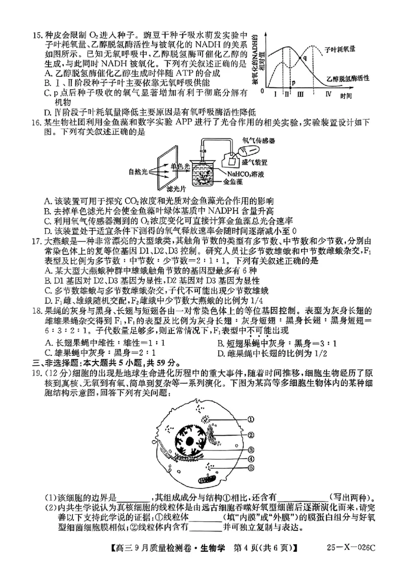 三晋卓越联盟&middot;山西省2024-2025学年度高三9月质量检测卷(25-X-26C)生物试题_2024-2025高三（6-6月题库）_2024年09月试卷_0928三晋卓越联盟&middot;山西省2024-2025学年度高三9月质量检测卷(25-X-26C)