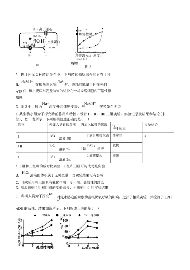 江西省稳派上进联考2025届高三11月阶段检测考试生物+答案_2024-2025高三（6-6月题库）_2024年11月试卷_1124江西省稳派上进联考2025届高三11月阶段检测考试（全科）