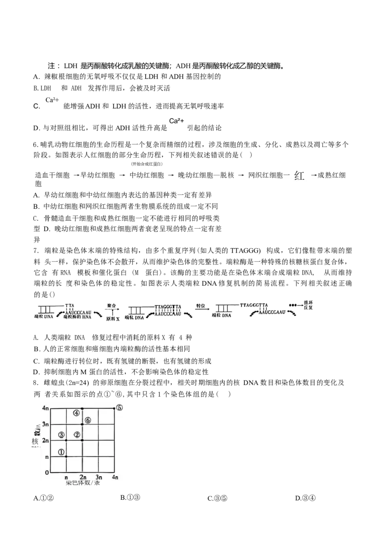 江西省稳派上进联考2025届高三11月阶段检测考试生物+答案_2024-2025高三（6-6月题库）_2024年11月试卷_1124江西省稳派上进联考2025届高三11月阶段检测考试（全科）