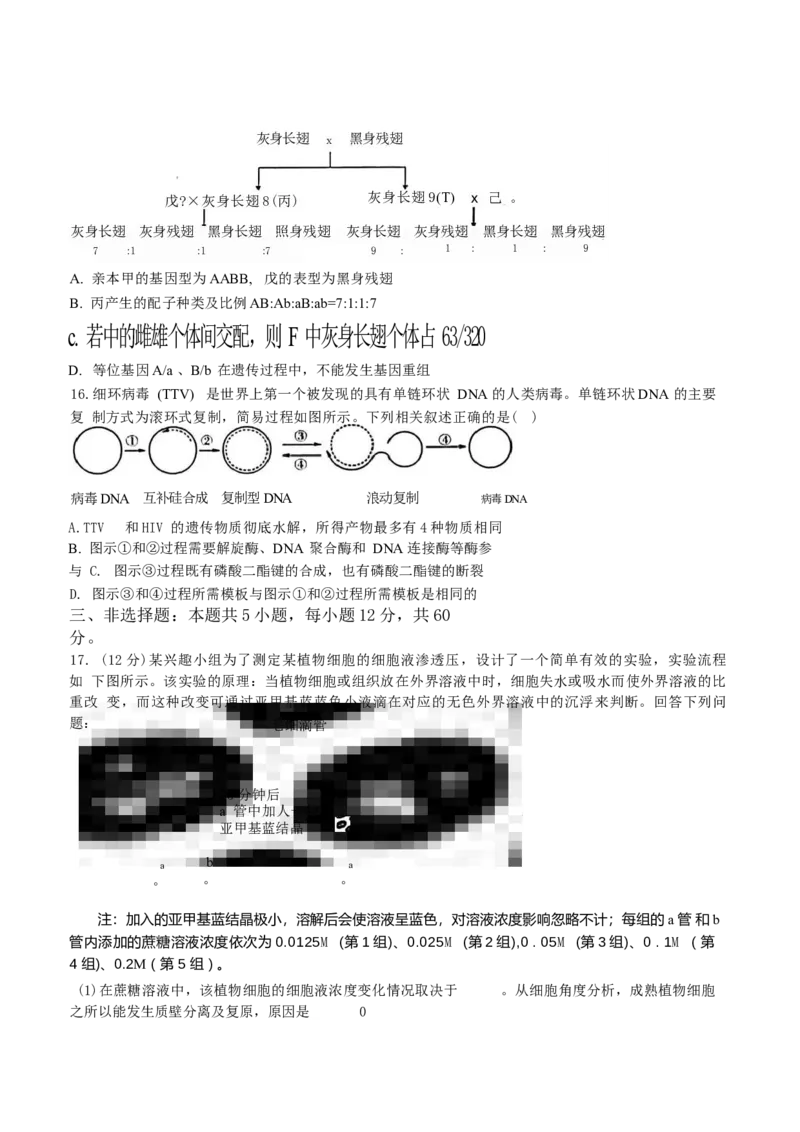 江西省稳派上进联考2025届高三11月阶段检测考试生物+答案_2024-2025高三（6-6月题库）_2024年11月试卷_1124江西省稳派上进联考2025届高三11月阶段检测考试（全科）