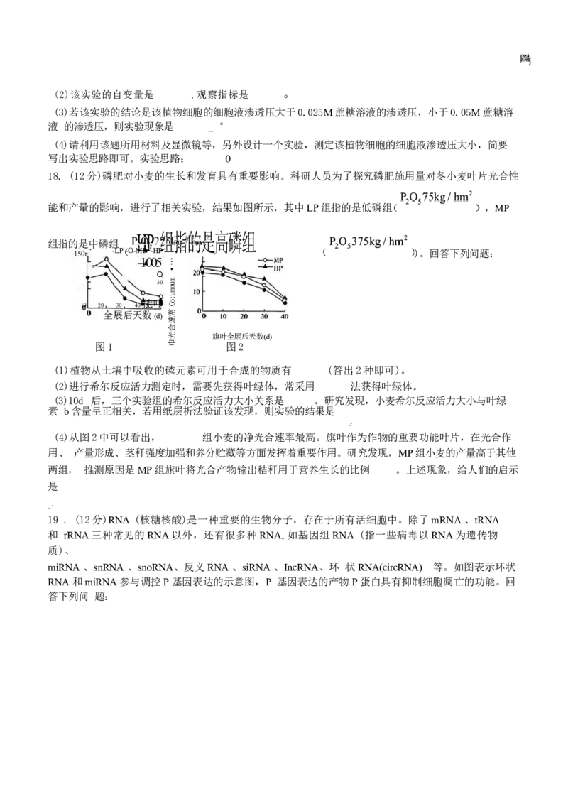 江西省稳派上进联考2025届高三11月阶段检测考试生物+答案_2024-2025高三（6-6月题库）_2024年11月试卷_1124江西省稳派上进联考2025届高三11月阶段检测考试（全科）