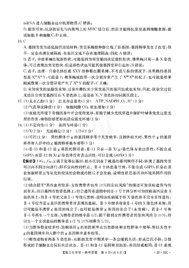 广东省2025届高三8月联考(25-02C)生物答案_2024-2025高三（6-6月题库）_2024年08月试卷_08282025届广东金太阳高三8月大联考（25-02C）_2025届广东高三8月大联考（25-02C）生物试题+答案