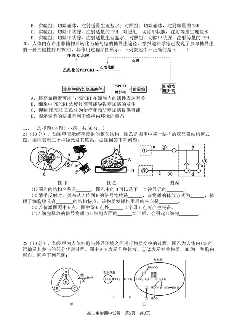 万州二中高2024级期中考试题修改格式版_2025年11月高二试卷_251128重庆市万州二中2025-2026学年高二上学期期中考试（全）