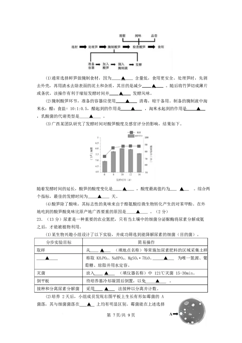 江苏省南京市六校联合体2024-2025学年高二下学期3月调研测试生物Word版含答案_2024-2025高二（7-7月题库）_2025年04月试卷(1)_0405江苏省南京市六校联合体2024-2025学年高二下学期3月调研测试
