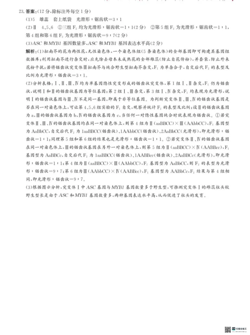 河北省沧州市2024-2025学年高三上学期10月复习质量监测生物试题_2024-2025高三（6-6月题库）_2024年10月试卷_1018河北省沧州市2024-2025学年高三上学期10月复习质量监测试题