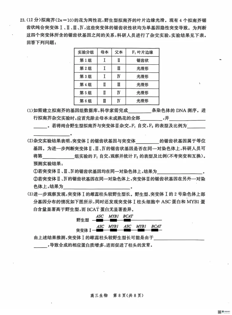 河北省沧州市2024-2025学年高三上学期10月复习质量监测生物试题_2024-2025高三（6-6月题库）_2024年10月试卷_1018河北省沧州市2024-2025学年高三上学期10月复习质量监测试题