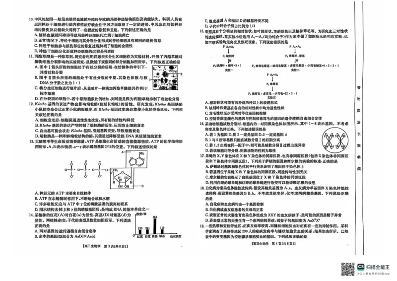 新疆维吾尔自治区塔城市塔城地区第一高级中学2024-2025学年高三上学期10月期中生物试题_2024-2025高三（6-6月题库）_2024年11月试卷