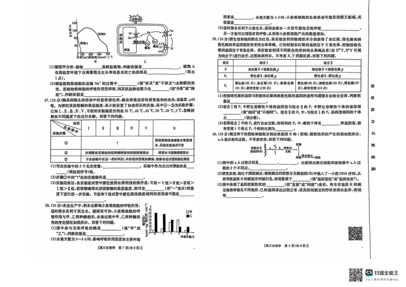 新疆维吾尔自治区塔城市塔城地区第一高级中学2024-2025学年高三上学期10月期中生物试题_2024-2025高三（6-6月题库）_2024年11月试卷