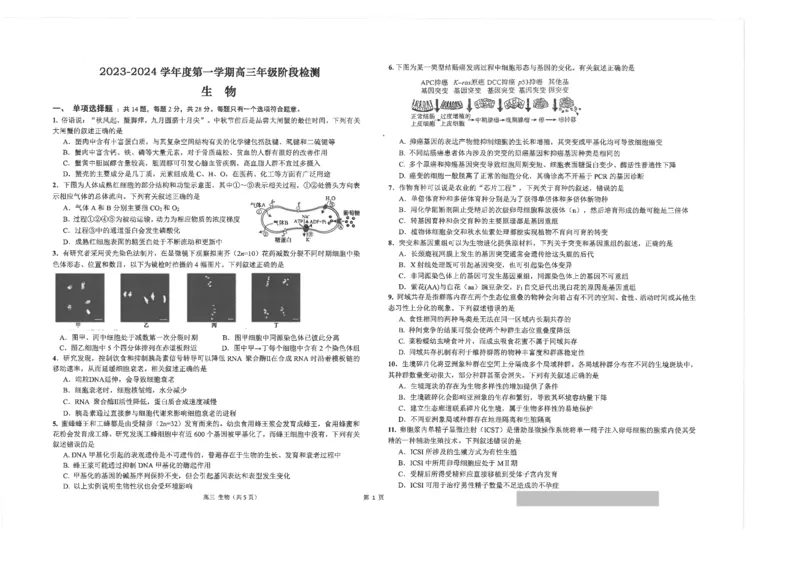 江苏省南通市海安市2024届高三上学期11月期中考试生物(1)_2023年11月_01每日更新_17号_2024届江苏省南通市海安市高三上学期11月期中考试