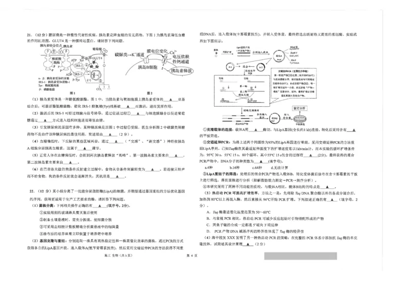江苏省南通市海安市2024届高三上学期11月期中考试生物(1)_2023年11月_01每日更新_17号_2024届江苏省南通市海安市高三上学期11月期中考试