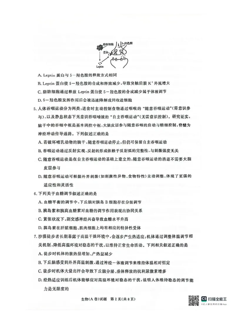 河南省商丘市青桐鸣2025-2026学年高二上学期青桐鸣联考生物试卷（A卷）含答案_2024-2025高二（7-7月题库）_2026年1月高二_260108河南省青桐鸣2025-2026学年高二上学期1月月考
