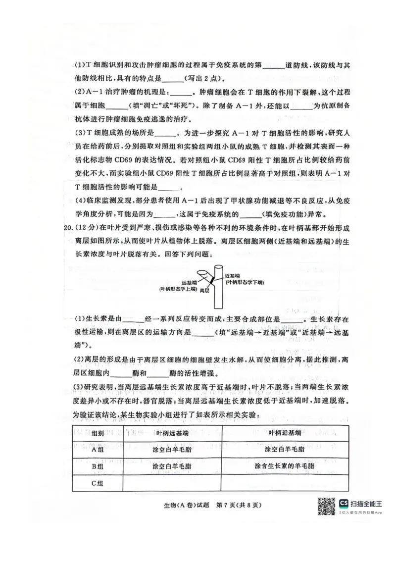 河南省商丘市青桐鸣2025-2026学年高二上学期青桐鸣联考生物试卷（A卷）含答案_2024-2025高二（7-7月题库）_2026年1月高二_260108河南省青桐鸣2025-2026学年高二上学期1月月考