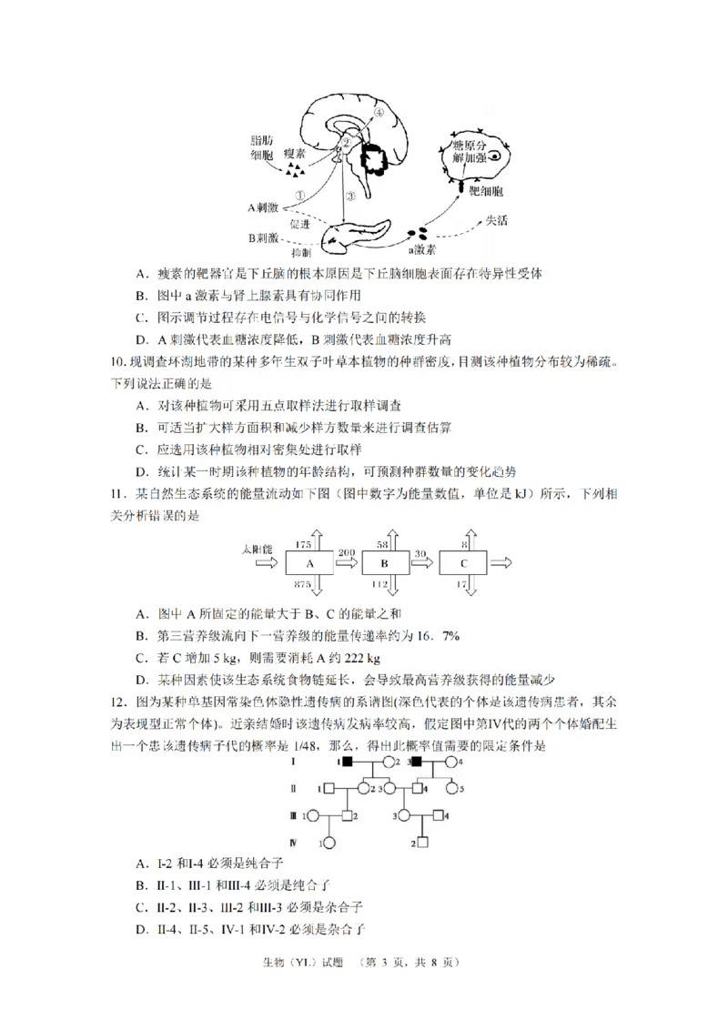 生物（YL）_2024年2月_01每日更新_22号_2024届湖南省长沙市雅礼中学高考一模_2024届湖南省长沙市雅礼中学高考一模生物