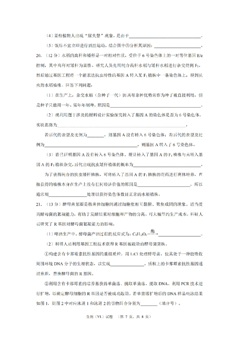 生物（YL）_2024年2月_01每日更新_22号_2024届湖南省长沙市雅礼中学高考一模_2024届湖南省长沙市雅礼中学高考一模生物