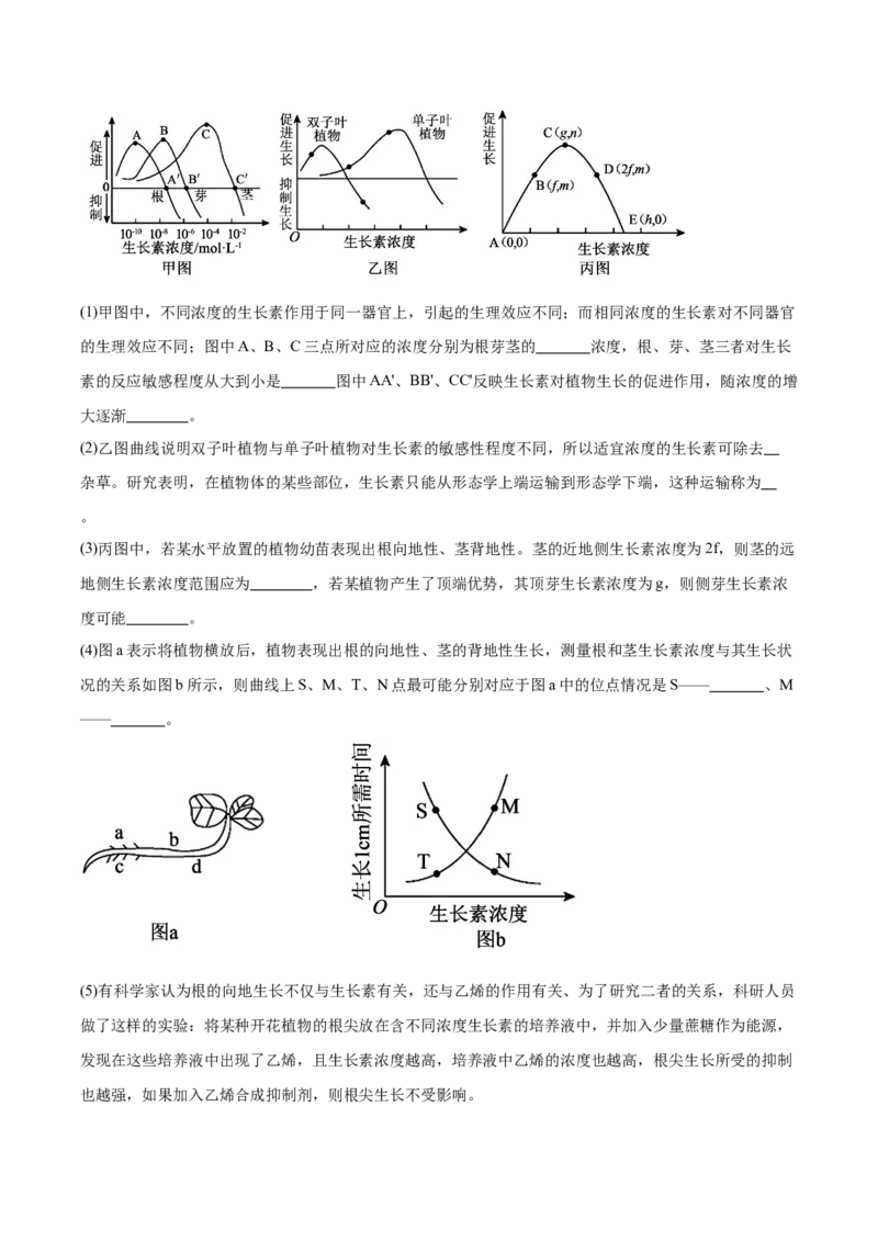 江苏省淮安市高中校协作体2025-2026学年高二上学期期中联考试题生物Word版含答案_2024-2025高二（7-7月题库）_2026年1月高二
