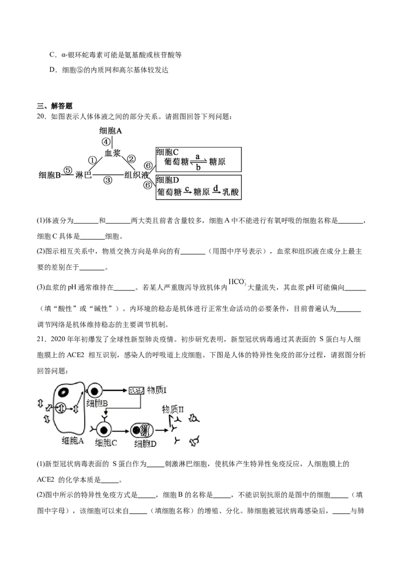江苏省淮安市高中校协作体2025-2026学年高二上学期期中联考试题生物Word版含答案_2024-2025高二（7-7月题库）_2026年1月高二